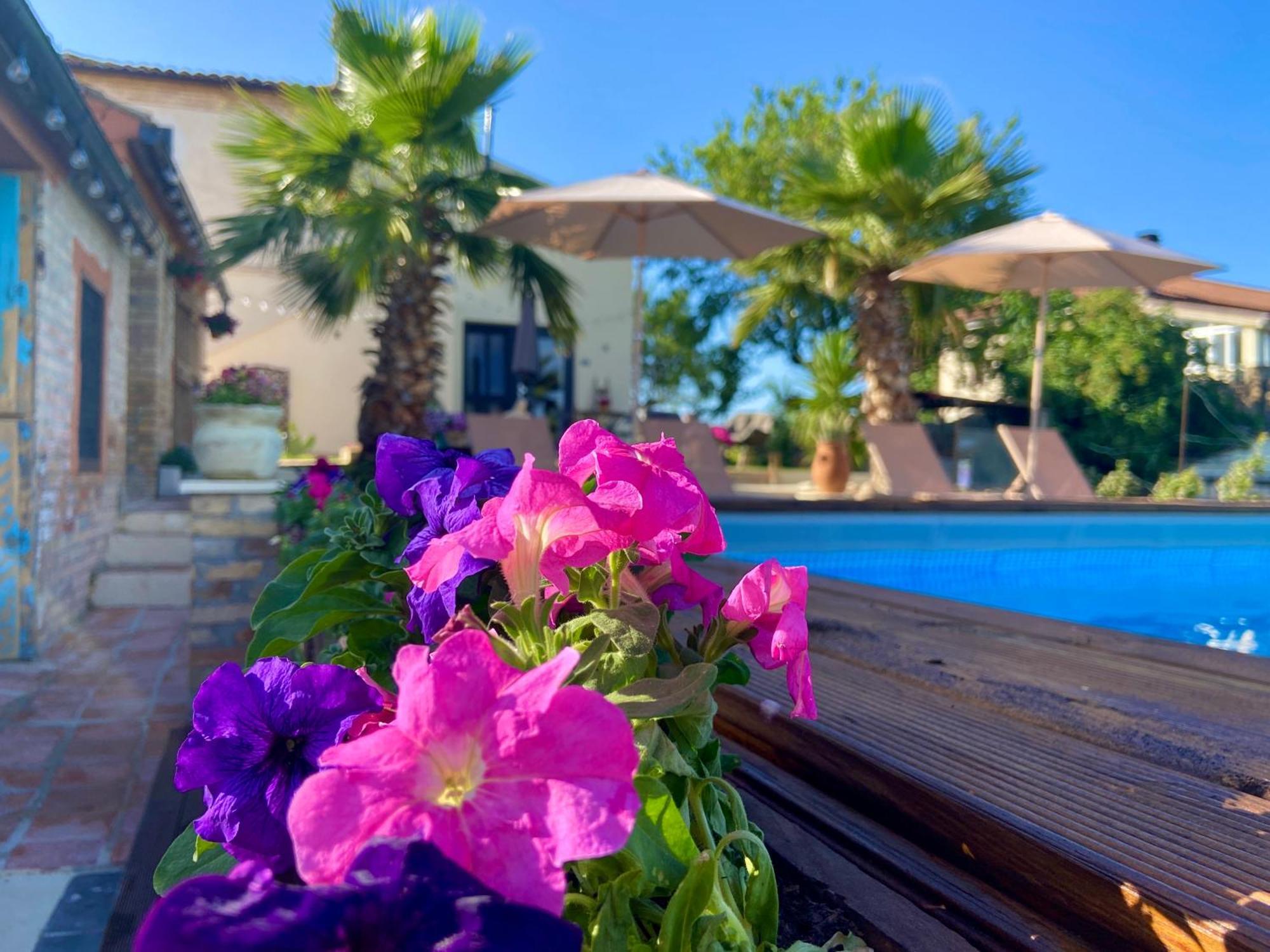 Bed And Adventure Tramontana Resort - Camera Vista Castilenti Exteriér fotografie